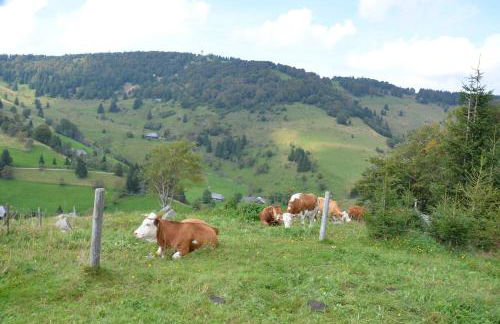 Sport Rees - Ferienwohnung Pia - Foto 33