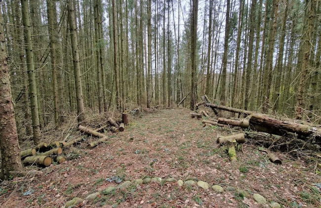 Pleasant Holiday Home in Silkeborg near Lake - Foto 5