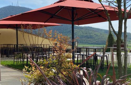 AZIENDA AGRICOLA CA' LUNGA - Foto 23