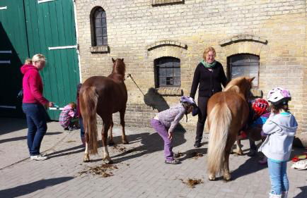 Gartenhaus 3, inkl 1 Parkplatz - Foto 8