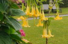 El MIRADOR DE TONO , Casa entera - Foto 56