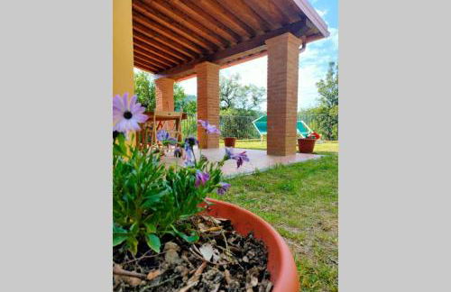 Villa con Piscina 10 Posti Letto, L'Oliveta Di Rivalto - Foto 30