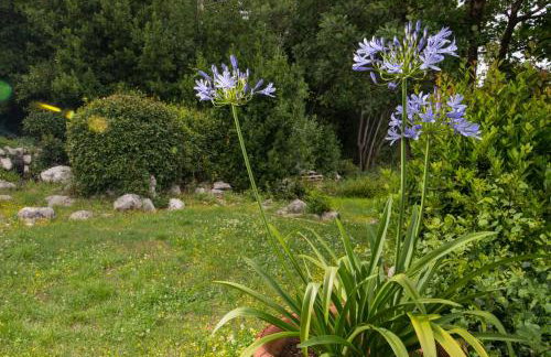 Apartment Alba - Photo 28