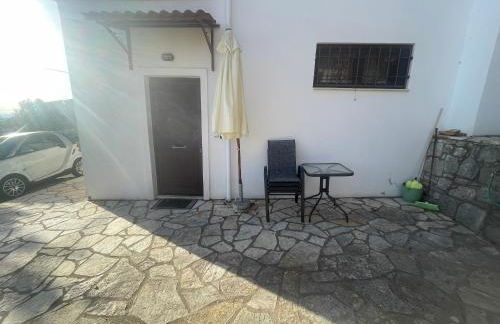 Forest House - Photo 2