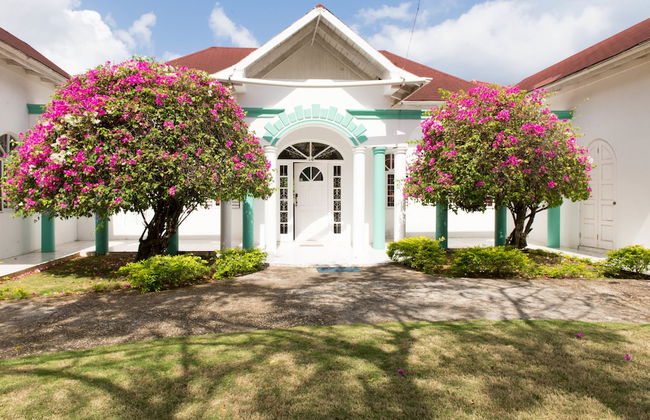 Diamond Villas and Suites - Foto 58