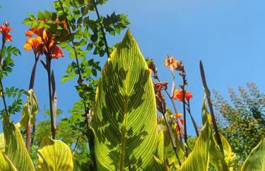 Casa Flow and Glow - Foto 27