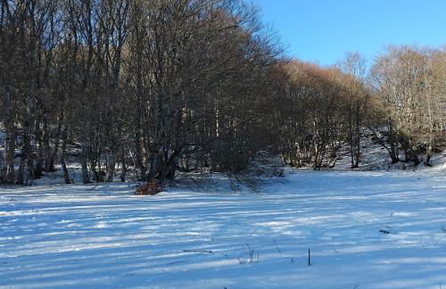 Le repos d'Aubrac - Photo 10
