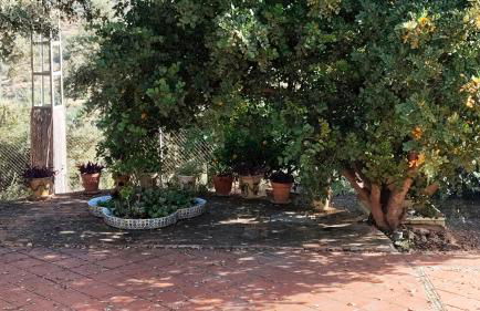 Los Tréboles - Foto 11