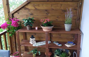 Eden View - Photo 16