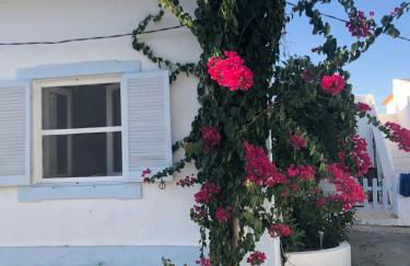 Toca das Manas - Foto 6