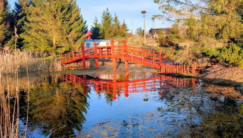 #MazuryWildLife - Foto 5