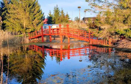 #MazuryWildLife - Foto 5