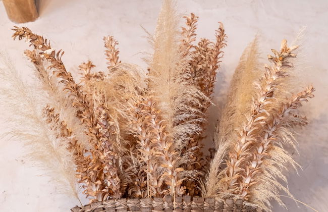 Alchimia Di Storia Attico di Charm nel Castello di Calci - Foto 73