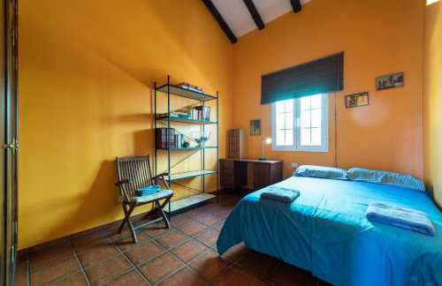 La Alpispa - Foto 27