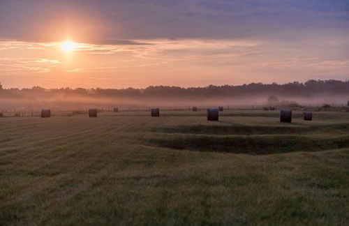 Gemütliches Gästezimmer - Foto 26