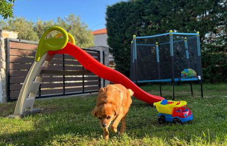 The Serenity Stone Lodge - Photo 31