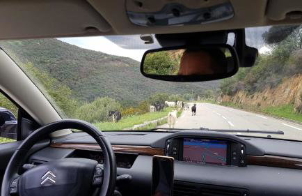 Villa Acqua Doria - Photo 57