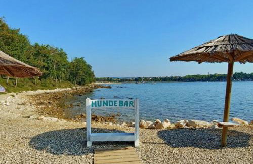 Villa Chiara with Private Pool and garden - Foto 49