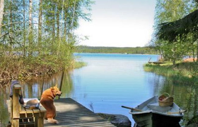 Metsäpirtti - Foto 22