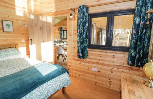 Kingfisher - Foto 10