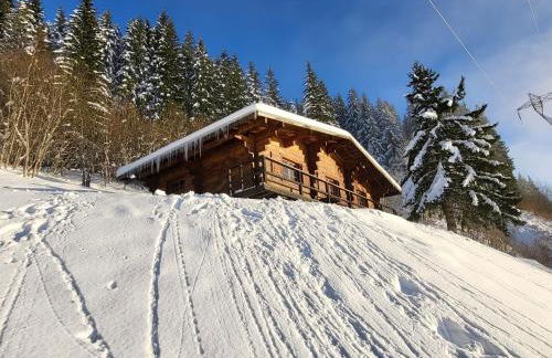 Chalet d'alpage avec vue incroyable - Foto 60