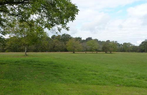 Maison à la Campagne - Foto 61