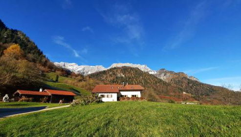 Ferienwohnung Feichtlgütl - Foto 2