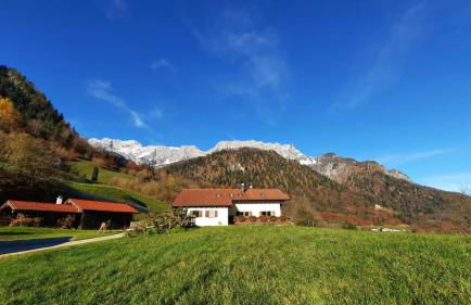 Ferienwohnung Feichtlgütl - Foto 2