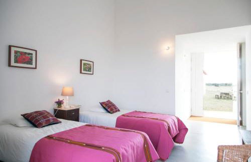 Monte Da Azarujinha - Foto 43