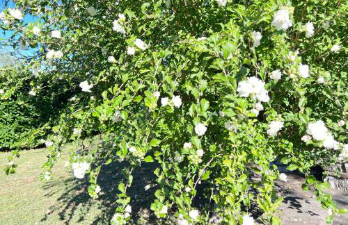 Villa Anna with pool and lift - Foto 17