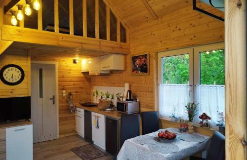 Domki Na Wzgórzu - domek nr 2 - Foto 73