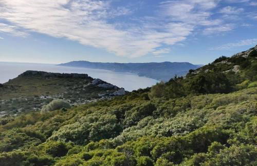 Purple Flower Suite Apartment - Foto 25