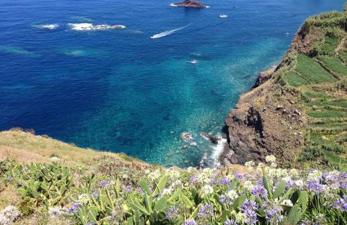 Blooming Botanic Houses - Foto 23