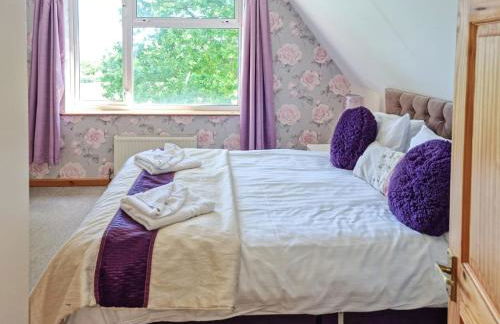 Dartmoor 3 - Photo 12