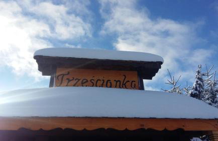 Przystanek Trześcianka - Foto 41