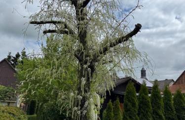 Ferienwohnung am See Dillich - Hunde willkommen - Eigener eingezäunter Garten - Ruhige Lage - Foto 34