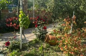 Apidalos Naus Apartment - Foto 24