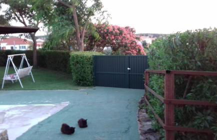 Casa Monte da Eira - Foto 39