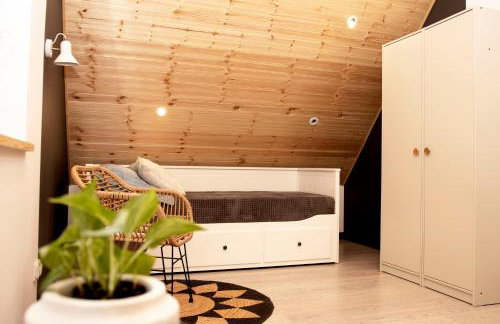 Czarny Dzięcioł - Foto 8