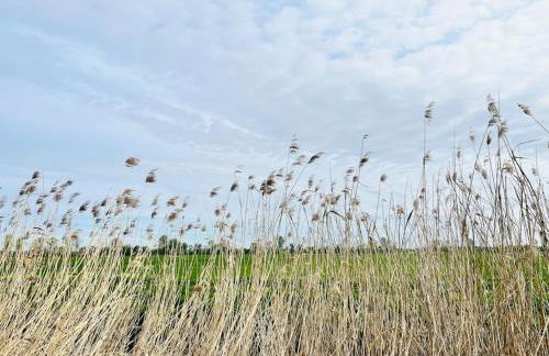 Kranichrast - Photo 23