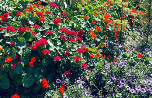 Phaedra House For Relaxing Holidays Near Platanias - Foto 86