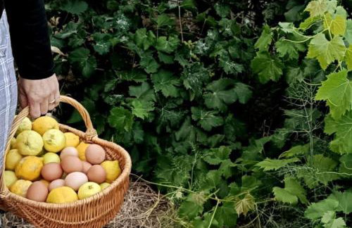Casa cueva El Balcón del Cortijo - Foto 25
