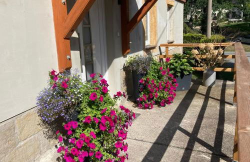 Ferienwohnung "Am Kirchsteig" - Foto 3