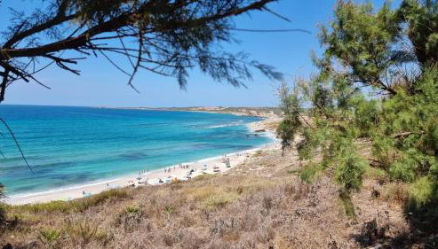 Domus Claudia - Foto 3