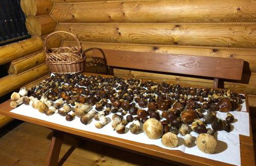 Dom Wakacyjny Złoto Północy na wyłączność, parking, plac zabaw, tarasy - Foto 42