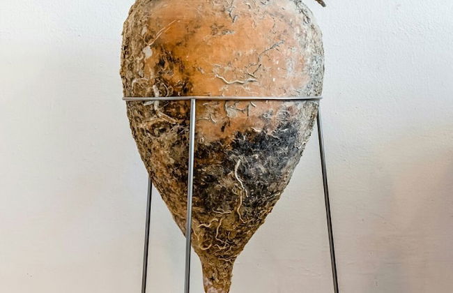 Apartment Tara - Photo 19