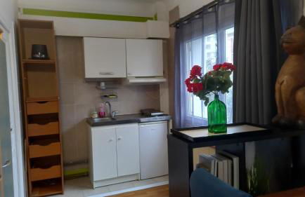 REF 01 studio BAGNEUX 5 minutes à pied métro BARBARA ligne 4 - Foto 5