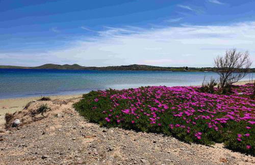Repanidi Apartment D / Ρεπανίδι Διαμέρισμα Δ - Foto 62