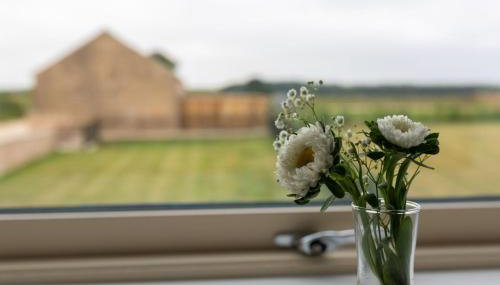 Marquesa - Modern dog-friendly barn on a country estate - Foto 4