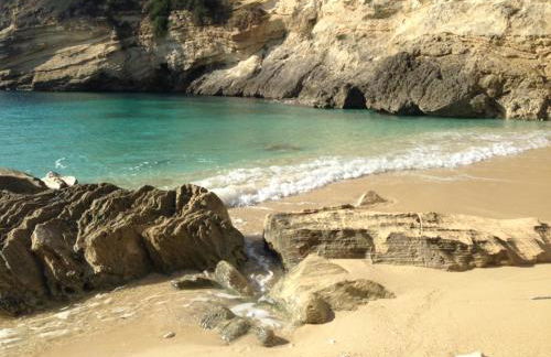 Vecchio Ulivo - Foto 33